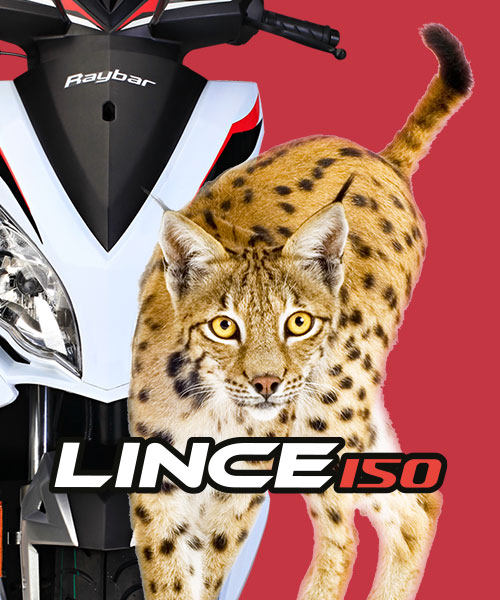 Raybar - Lice Two Wheeler Brochure