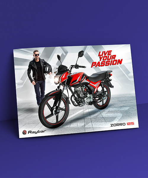Raybar - Zorro 150 Bike Brochure