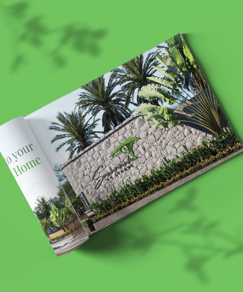 Savannah Brochure